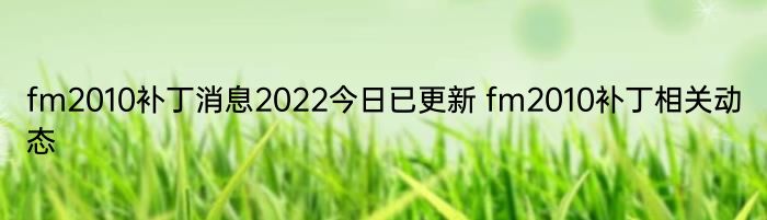 fm2010补丁消息2022今日已更新 fm2010补丁相关动态